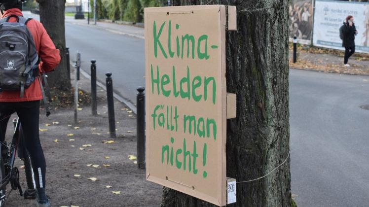 Die Bürgerproteste gegen das Fällen von fünf 140 Jahre alten Linden im Rostocker Rosengarten werden immer lauter.