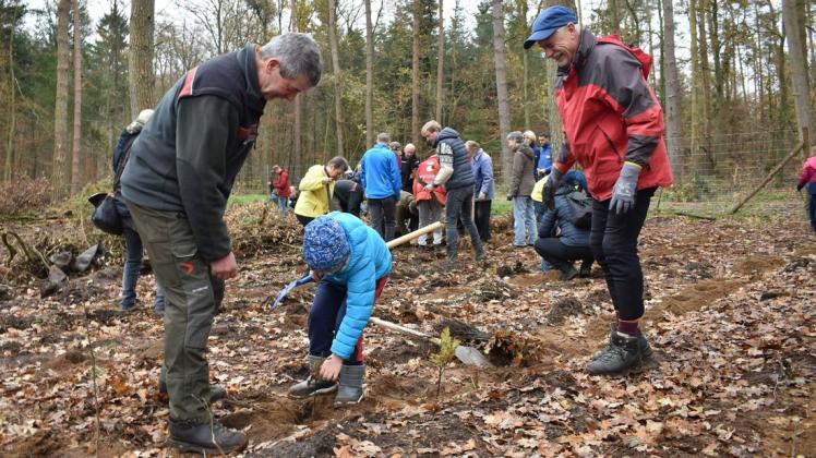 Zum Bäumepflanzen ist niemand zu klein: Forstamtsleiter Ingo Nadler zeigt Mattes, wie tief der Setzling in den Boden muss. Großvater Dieter Prösch staunt, wie gut sein Enkel schon pflanzen kann.