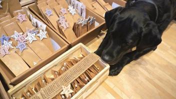 Für&apos;s Glücksgefühl: Labrador Bruno möchte wohl schon das erste Törchen öffnen. Seine Besitzerin Urte Koch-Lauxtermann gestaltet Hunde-Adventskalender, die perfekt auf das jeweilige Tier-Mensch-Gespann abgestimmt sind.