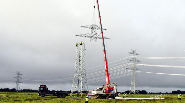 Wie bei der Westküstenleitung sollen auch in Ostholstein die vorhandenen 110-kV-Masten über weite Strecken abgebaut und die Leitung von der größeren 380-kV-Trasse übernommen werden. Das Foto entstand in Koldenbüttel.