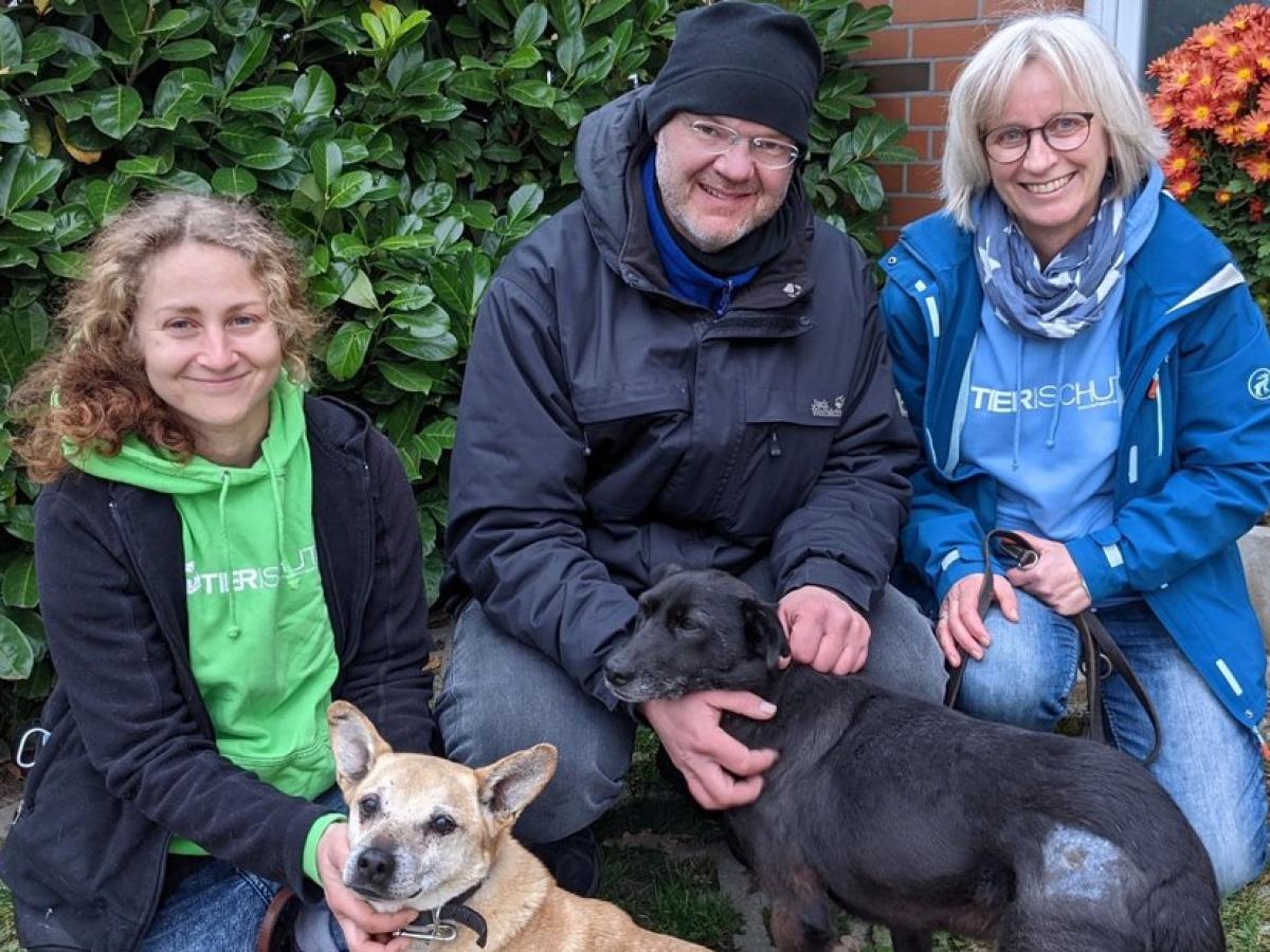 Happy End f r Tierheim Arche Noah in Brinkum nach Gerichtsurteil DKO