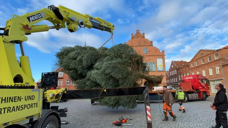 Dieser Weihnachtsbaum bringt 1,8 Tonnen auf die Waage und ziert den Gadebuscher Marktplatz.