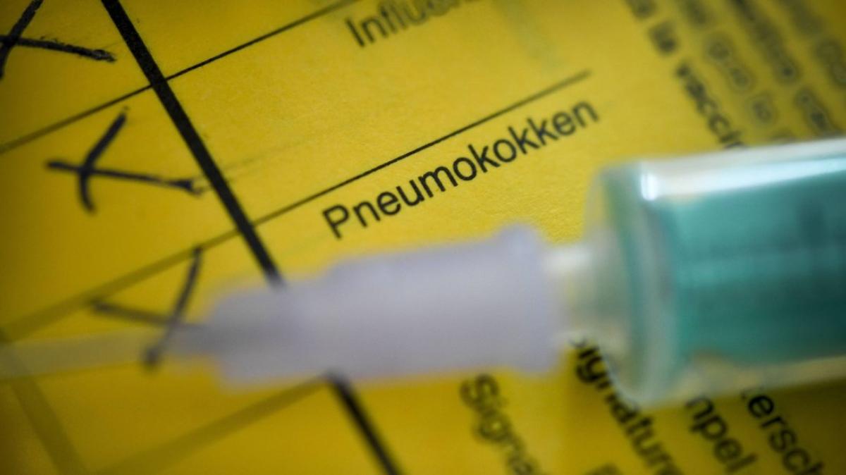 Pneumokokken Für wen die Impfung besonders wichtig ist SHZ