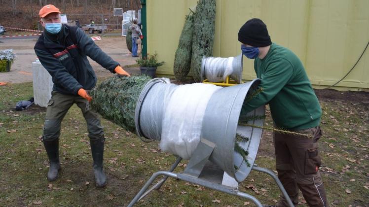 Weihnachtsbäume bot das Forstamt Güstrow im vergangenen Jahr an. In diesem Jahr ist der Verkauf in Satow Hütte geplant.