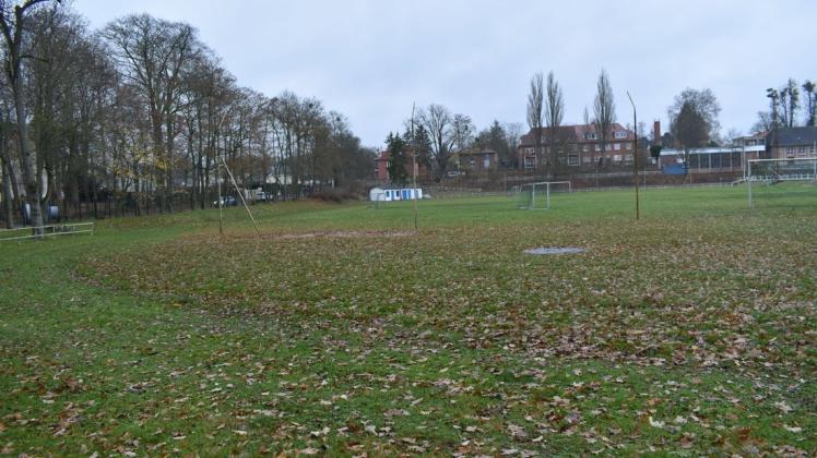 Herbstliche Idylle: Die Sportanlage Paulshöhe umfasst 33.000 Quadratmeter. Auf dem vorderen Teil der Fläche würde die Waldorfschule gern ihr neues Schulzentrum bauen.