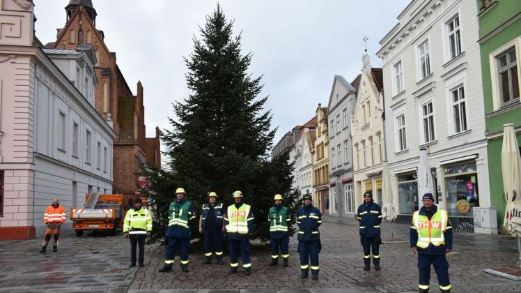 Der Stadtbauhof Güstrow hat am ersten Advent einen Weihnachtsbaum auf dem Markt aufgestellt.