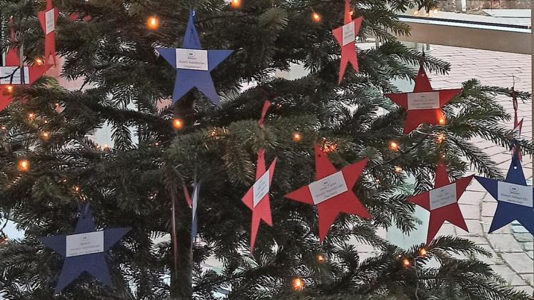 39 Wünsche von Kindern (rote Sterne) und fünf von Senioren (blaue Sterne) aus der Samtgemeinde Lengerich hängen am Wunschbaum im Rathausfoyer in Lengerich.
