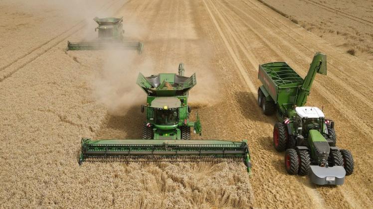 Ernte in Mecklenburg-Vorpommern im großen Maßstab: Die Ampel-Koalition will den Anteil des Bio-Anbaus in der Landwirtschaft auf 30 Prozent anheben.
