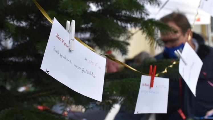 Am Tannenbaum auf dem Münsterplatz werden am Samstag wieder die Wunschkarten aufgehängt.