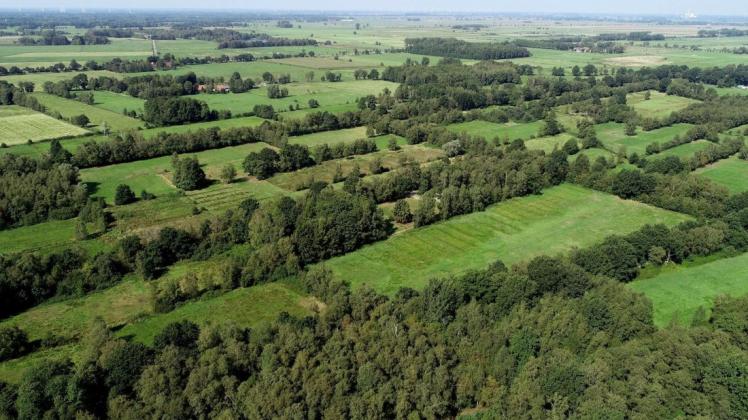 Kleinteilige Flächen prägen das Neuenlander Moor – das soll sich künftig ändern: Ein Entwicklungskonzept der Gemeinde peilt in Teilbereichen die Schaffung eines Biotops als Lebensraum für moortypische Arten an.