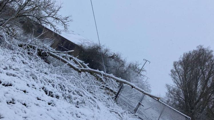 Das Sturmtief „Daniel“ kippte einen Baum um. Er fiel auf eine Stromleitung und beschädigte diese.