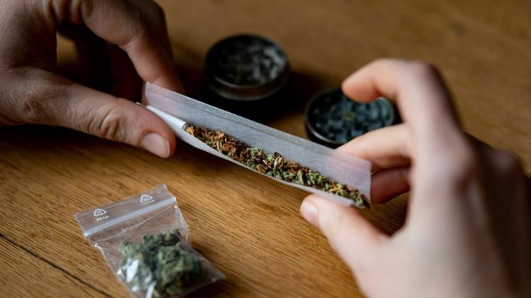 In Rostock gibt es bereits mehrere Shops, die Produkte mit den Wirkstoff CBD, unter anderem auch in Form rauchbarer Hanfblüten, verkaufen. In Rostock gibt es bereits mehrere Shops, die Produkte mit den Wirkstoff CBD, unter anderem auch in Form rauchbarer Hanfblüten, verkaufen.