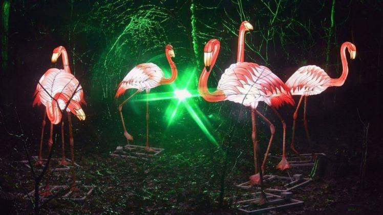 Werden vom 15. Dezember an wieder im Rostocker Zoo leuchten: die Flamingos aus chinesischer Ballonseide.