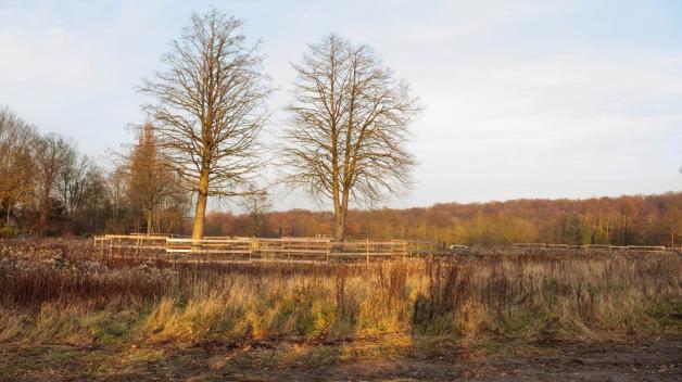 Baustart für Altenheim im Baugebiet "Grüner Garten" in Voxtrup