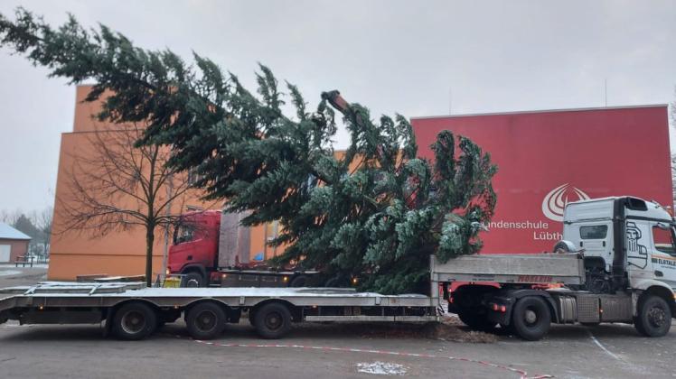 Mit technischer Unterstützung des Unternehmens Elbtaler wird der vor der Schule umgestürzte Baum zum Kirchenplatz gebracht.