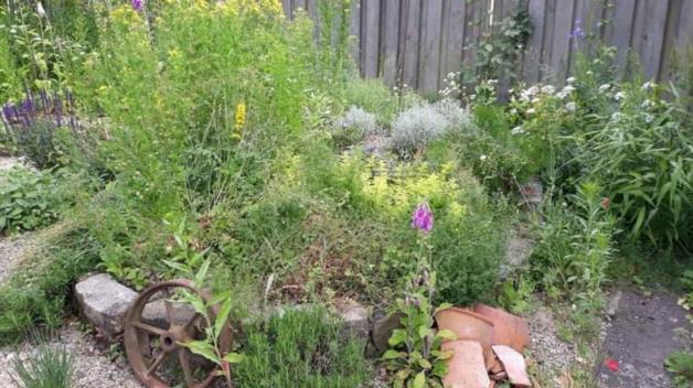 Klimafreundliche Gärten im Landkreis Oldenburg