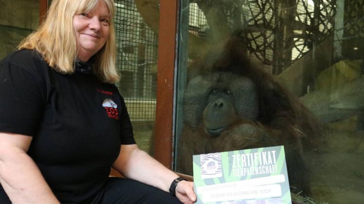 Tierpflegerin Heike Läkamp freut sich: Orang-Utan Buschi wird am 21. Dezember 50 Jahre alt. Der Zoo bittet um Spenden für die Zoobewohner.
