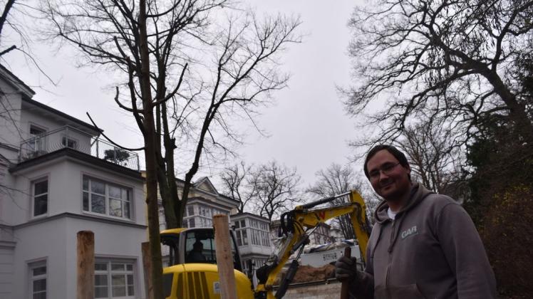 Ist beim Anpflanzen der neun Sommerlinden in der Warnemünder Wachtlerstraße dabei: Rick Gadow von der Firma Grünanlagen-Bau (GAB) in Stäbelow.