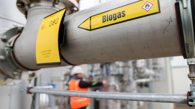 In Freren-Bardel soll künftig aus Gülle und Mist Biogas produziert werden. Die Pläne dazu stellten Vertreter des Projektbüros und des Investors jetzt im Stadtrat Freren vor. (Symbolfoto)