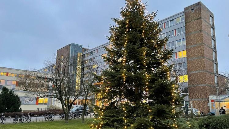 Vor der Rostocker Südstadtklinik wurde ein großer Weihnachtsbaum aufgestellt und geschmückt.