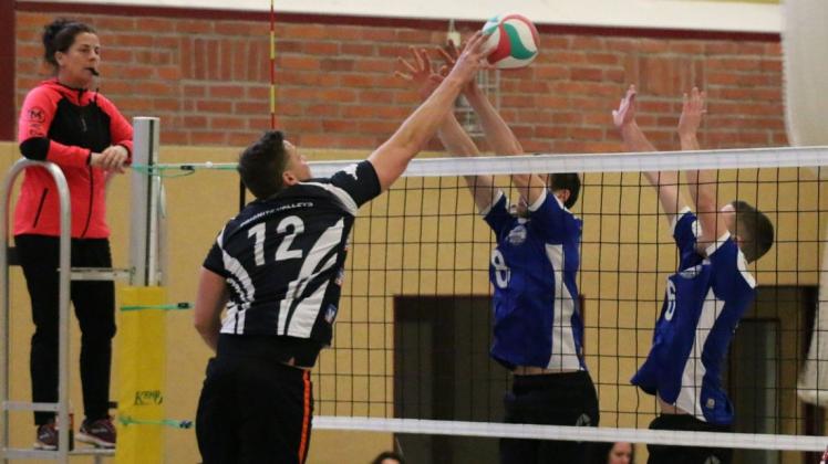 Erik Fedrau (12) machte bei seinem Debüt im Trikot der Prignitz Volleys ein gutes Spiel.