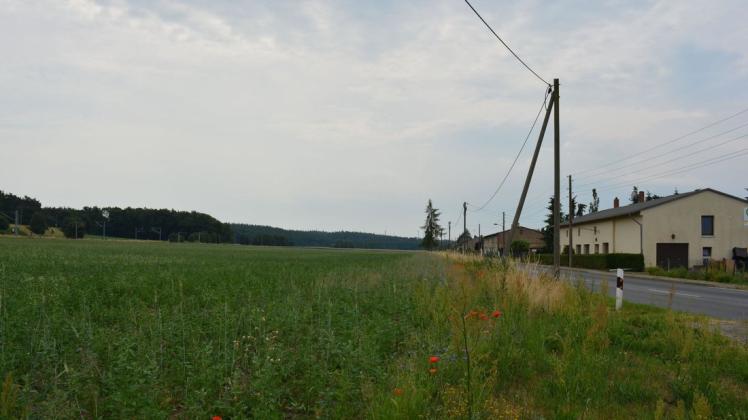 Entlang der Kreisstraße soll der Radweg auch durch Werle führen.