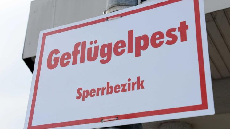 In einem Putenbetrieb im Landkreis Cloppenburg ist es zu einem Ausbruch der Geflügelpest gekommen.