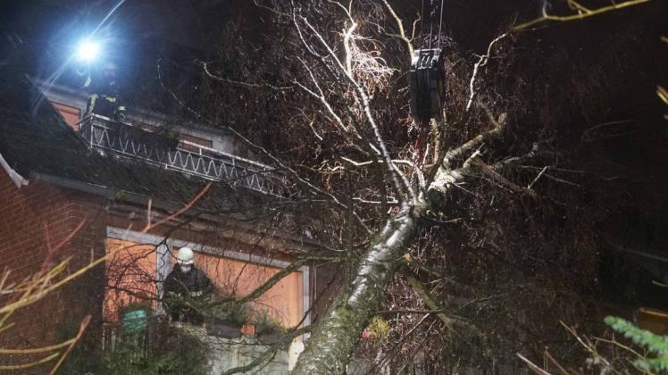 Feuewehrleute befestigen von Balkonen aus einen umgestürzten Baum am Haken eines Feuerwehrkranwagens.