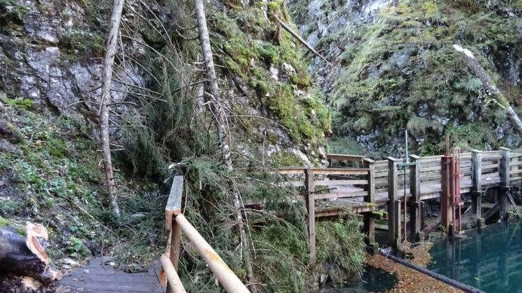 Eine Vierjährige starb am Samstag bei einer Wanderung mit ihrer Großmutter, als ein Baum in einer Orkanböe umstürzte und auf sie fiel. Eine Vierjährige starb am Samstag bei einer Wanderung mit ihrer Großmutter, als ein Baum in einer Orkanböe umstürzte und auf sie fiel.