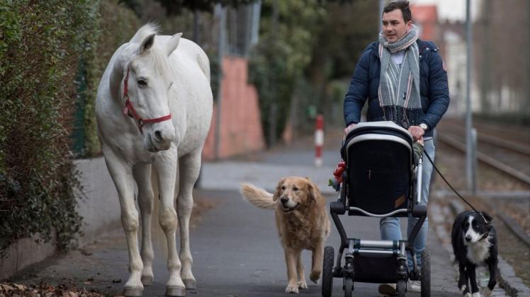 Jenny versteht sich auch mit den meisten Hunden gut. Foto: dpa/Boris Roessler