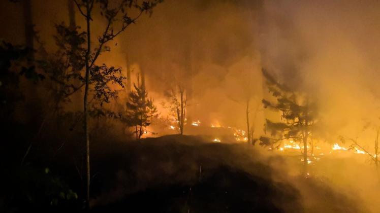 Jedes Jahr aufs Neue brennt der Wald bei Jüterbog südlich von Potsdam. Foto: dpa/Julian Stähle