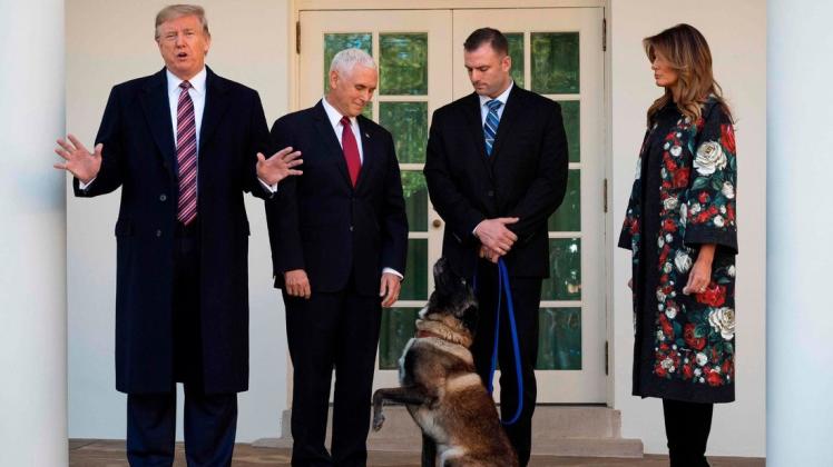 "Conan ist ein harter Hund und keiner wird sich mit ihm anlegen", sagte US-Präsident Donald Trump. Foto: afp/Jim Watson