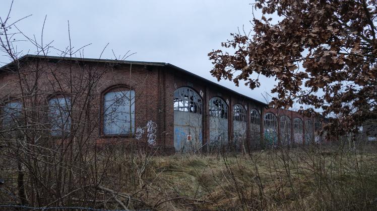 author Das stillgelegte, verwilderte Bahnareal am Winterweg wird eingezäunt.