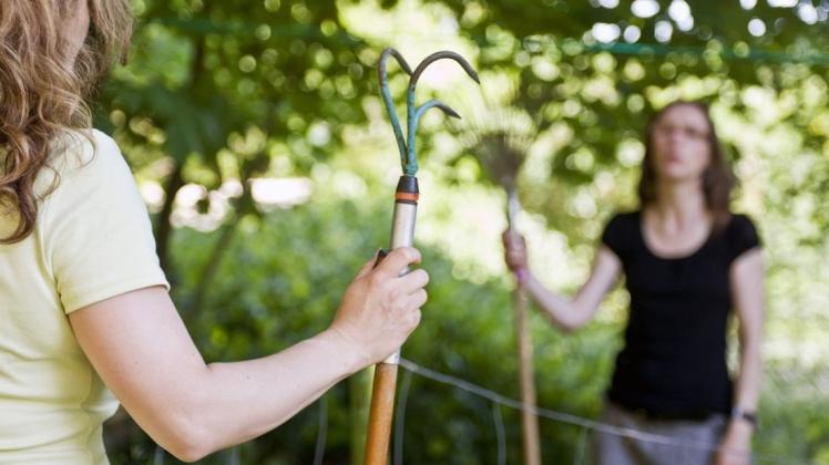 Wenn zwei sich wortlos gegenüberstehen, ist schon viel verloren - bei Streit am Gartenzaun hilft oft nur gegenseitiges Verständnis. Dabei sollen Schiedsstellen helfen.