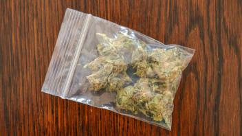 Cannabis Droge Blueten *** Cannabis drug flowers