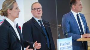 Kandidatur auf AfD-Ticket - CDU wirft Otte raus