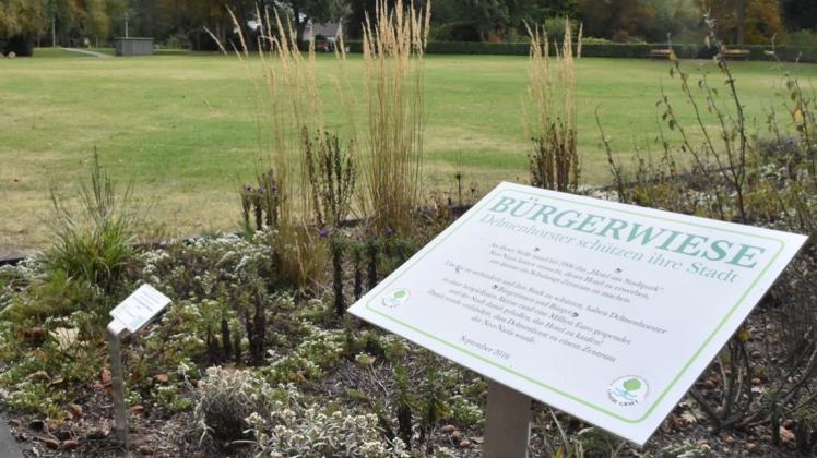 Auf den besonderen Status der Hotelwiese/Bürgerwiese verweist ein dort angebrachtes Schild. Auch die hier zu sehenden Beete sind in der Parkplatz-Planung der Verwaltung nicht mehr vorgesehen. Auf den besonderen Status der Hotelwiese/Bürgerwiese verweist ein dort angebrachtes Schild. Auch die hier zu sehenden Beete sind in der Parkplatz-Planung der Verwaltung nicht mehr vorgesehen.