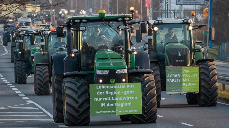 Ende Januar plant der Landesbauernverband einen großen Trecker-Korso in der Landeshauptstadt.