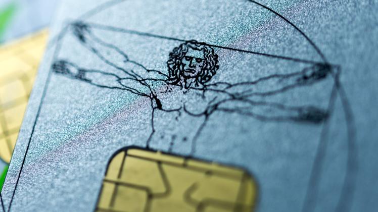 Urteil: Ohne Einkommen kein Krankengeld für Selbstständige