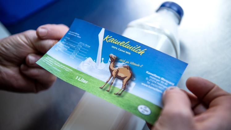 Teuer und sehr begehrt: Die Kamelmilch aus Norddeutschland