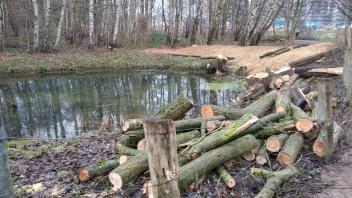 Vollendete Tatsachen: In Pinneberg wurden wieder Bäume abgeholzt.