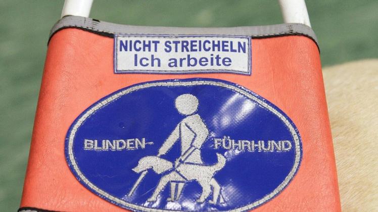 Der Schriftzug "Nicht streicheln ich arbeite" steht auf dem Schild eines Blindenführhundes.