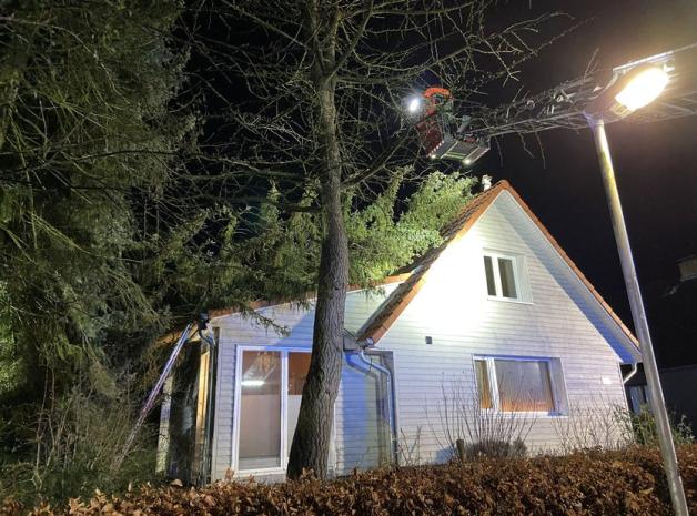 Zwölf-Meter-Tanne liegt auf dem Hausdach in Bünningstedt. Menschen wurden nicht verletzt.
