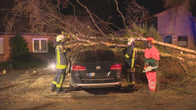 Am Brookdamm in Ganderkesee hat eine umgestürzte Birke zwei parkende Autos beschädigt.