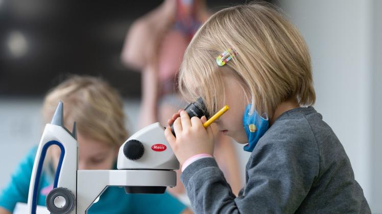 Die Kinder an der Uni-Schule Dresden arbeiten an Mikroskopen. 