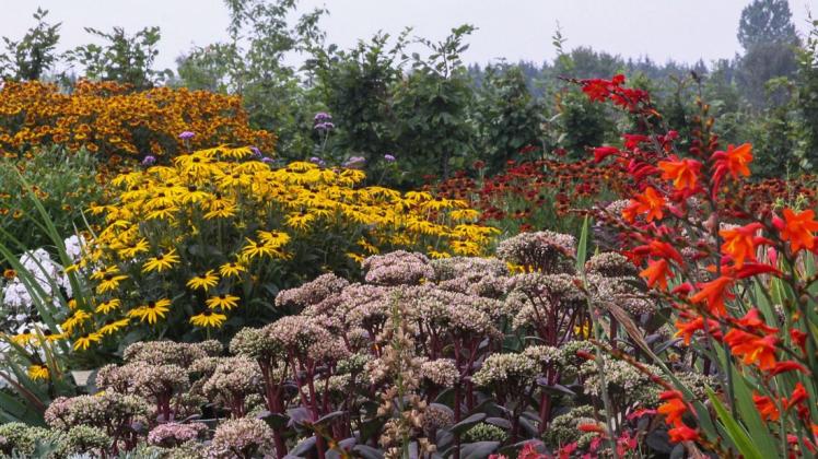 InsektenLebensraum in Wohnsiedlungen SHZ