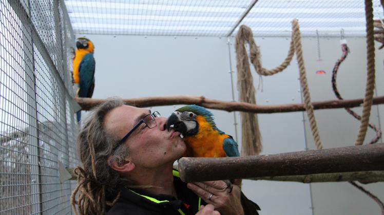 Thomas Pelzer liebt seine Papageien über alles.