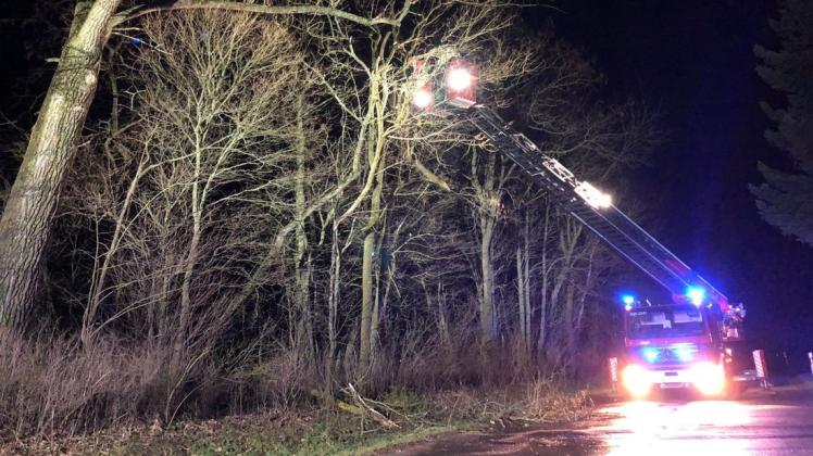 Immer wieder mussten die Kameraden der freiwilligen Feuerwehr Crivitz auch zu Einsätzen mit der Drehleiter ausrücken.