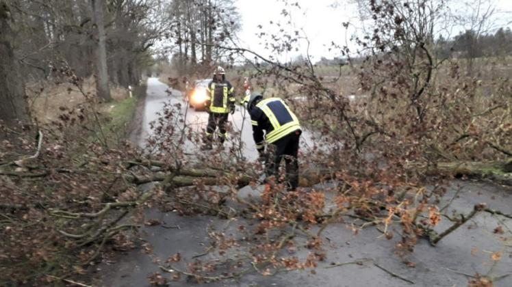 Kameraden der Freiwilligen Feuerwehr Hoppenrade/Garz beseitigen einen umgestürzten Baum.