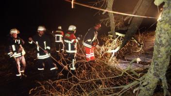 Sturmschaden zwischen Kadow und Ruest Dorf in der Gemeinde Mestlin. Die Feuerwehr war vor Ort und beseitigte den umgestürzten Baum.